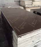 Antislip Film faced plywood