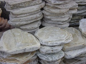 Yellow Quartzite Stepping Stone