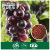 45%-80% Polyphenols; 80%-95% OPC Grape Seed / Skin Extract
