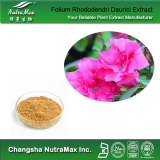 Dahurian Rhodoendron Leaf Extract