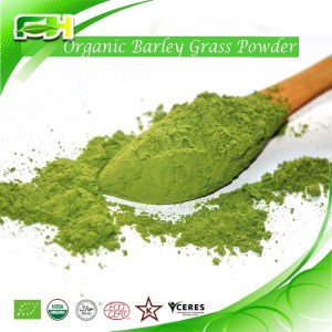 Barley grass Powder