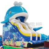 Little whale water slides