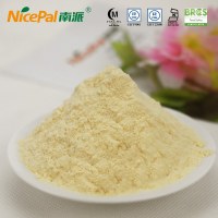 Fruit Powder Lemon Powder Wholesale Price