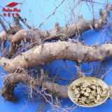 Nippon Yam Rhizome Extract (sales07@nutra-max.com)