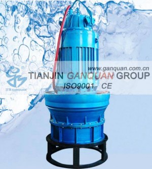 High Voltage Axial Flow Pump