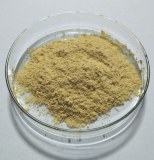 Ginseng Extract