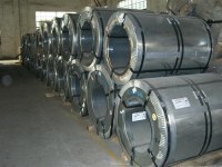 Galvatized steel coil/Galvatized steel sheet