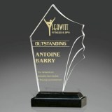 Acrylic awards trophy