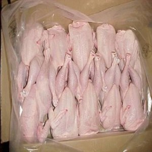 Compre patas de pollo chilenas de grado A / patas de pollo congeladas para exportación...