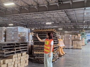 How Important Is It to Choose a Reliable Freight Forwarder for Air Freight to the Middl...