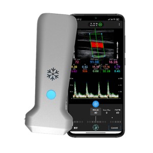 Application of the Wireless Ultrasound Transducer in Medical Treatment