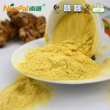 Ginger powder from manufacturer