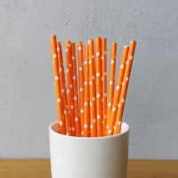 Orange Paper Straws