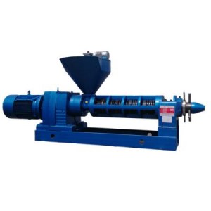 Oil Press Machine