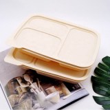 Compostable To Go Containers