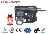 50/60Hz Home Natural Gas Generators with Circuit Breaker Provide Electric Power