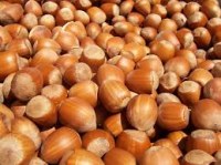 Dried hazelnuts