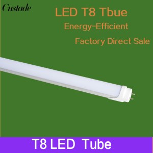 Tubos LED T8 LED tubo 600mm 900mm 1200mm