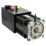 Samson servo motor