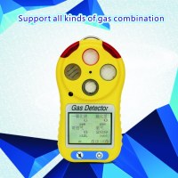Portable compound gas alarming detector