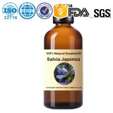 Aceite esencial de Salvia japonica al por mayor de fábrica: Salvia japonica 100% natural