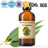 Aceite esencial de eucalipto al por mayor de fábrica: eucalipto 100 % puro, natural, aromaterapia...