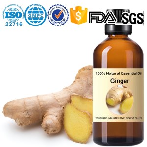 Aceite esencial de jengibre Zingiber officinale (100 % natural) OEM al por mayor de fáb...