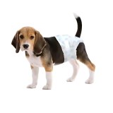 Pañales Higiénicos Lechen para Perros – Pañales para Mascotas para el Entrenamiento en...