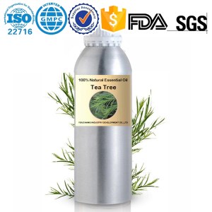 Aceite esencial de árbol de té australiano al por mayor de fábrica 100% natural