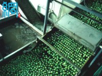 Sieve bend screens for food processing