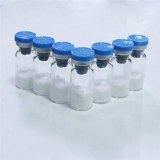 Terlipressin acetate API