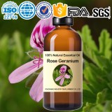 Aceite esencial de geranio rosado (Pelargonium graveolens) 100 % natural al por mayor