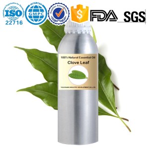 Aceite esencial de hoja de clavo 100% natural al por mayor de fábrica