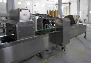 Semi automatic cake production line-Yufeng
