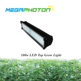 100W 2ft top LED crece la luz para proyectos de iluminacion horticolas hidroponicos