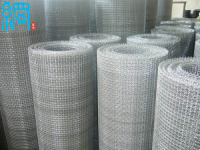 Stainless Steel/Aluminum Woven Square Crimped Wire Mesh #12x12 (0.55-1.0mm wire diameter)