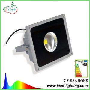 COB LED Flood light 20w