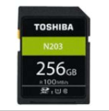 Toshiba Carte SD Exceria R100 N203 256GB THN-N203N2560E4