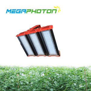 Megaphoton 150W top LED crece la luz para proyectos de iluminacion horticolas hidroponicos