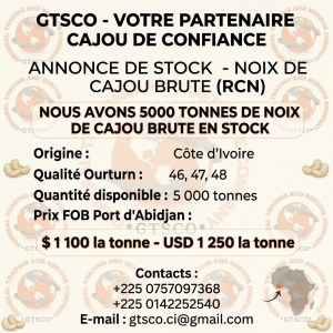 Nous avons 5000 tonnes de noix de cajou brute en stock en Côte d'Ivoire prix FOB