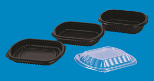 Plastic Meal Box