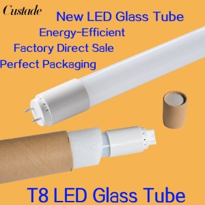 T8 LED tubo de tubos de vidrio 600mm 900mm 1200mm