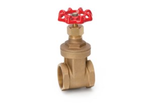 Bronze Gate Valve