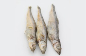 Freeze-dried Capelin