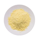 Freeze Dried Corn Powder Bulk & Wholesale