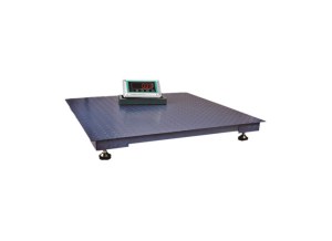 Stainless Steel Floor Scale