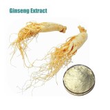 Factory supply high quality Ginseng Extract Powder!