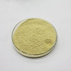 Ginseng Extract
