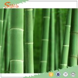 Wholesales outdoor plastic bamboo artificial bamboo