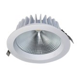 25W LED Downlight